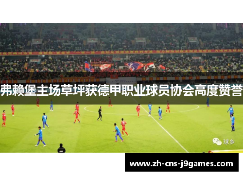 弗赖堡主场草坪获德甲职业球员协会高度赞誉